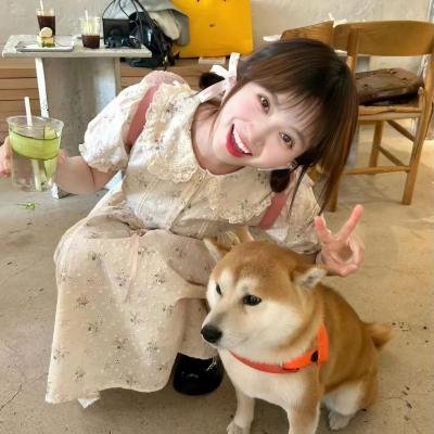 美乐蒂酷洛米